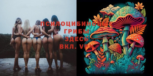 хмурый Балабаново