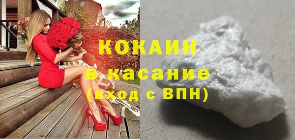 прущие грибы Беломорск