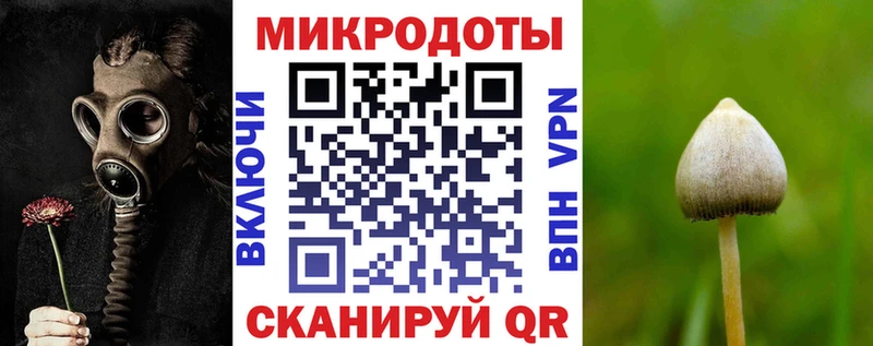 Купить  Чекалин  Псилоцибиновые грибы прущие грибы 